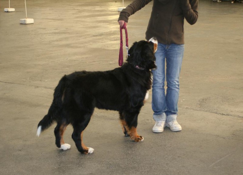 Cita ze Slunného dvora - bonitace 27. 9. 2009