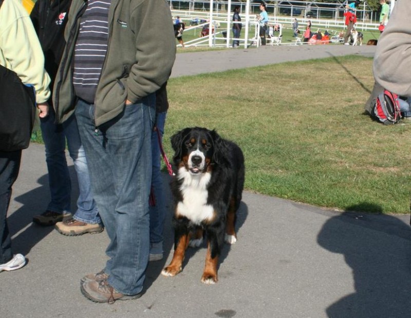 Cita ze Slunného dvora - bonitace 27. 9. 2009