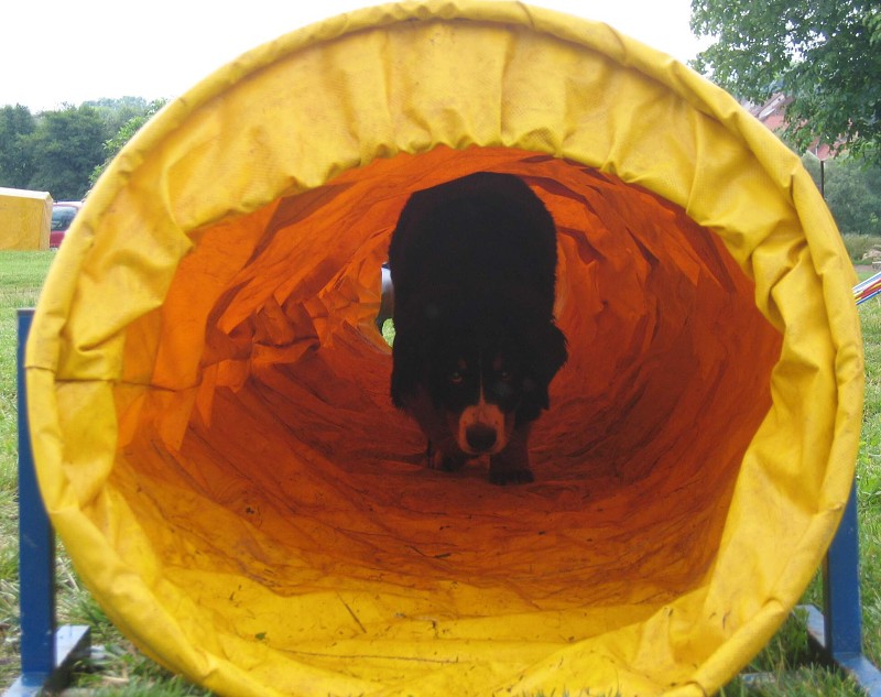 20 - tunelářka Cituška 