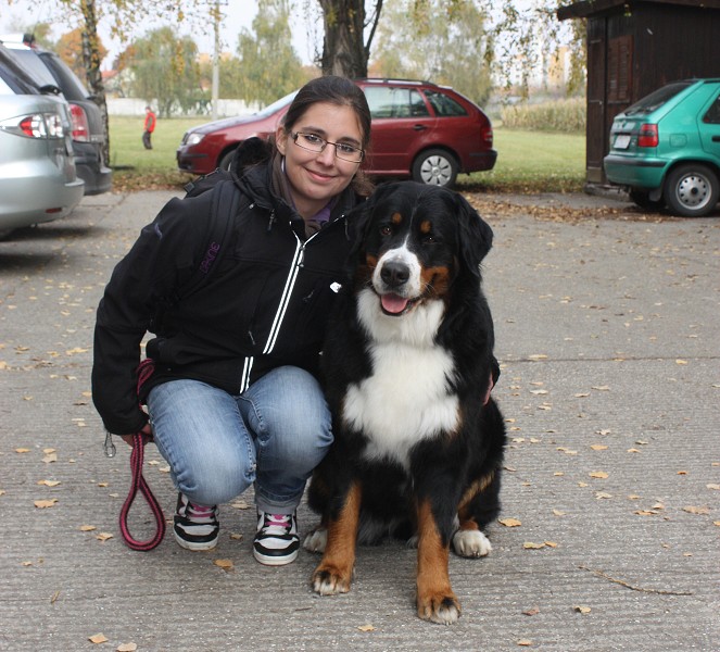 Slovenská klubová výstava 23.10.2010