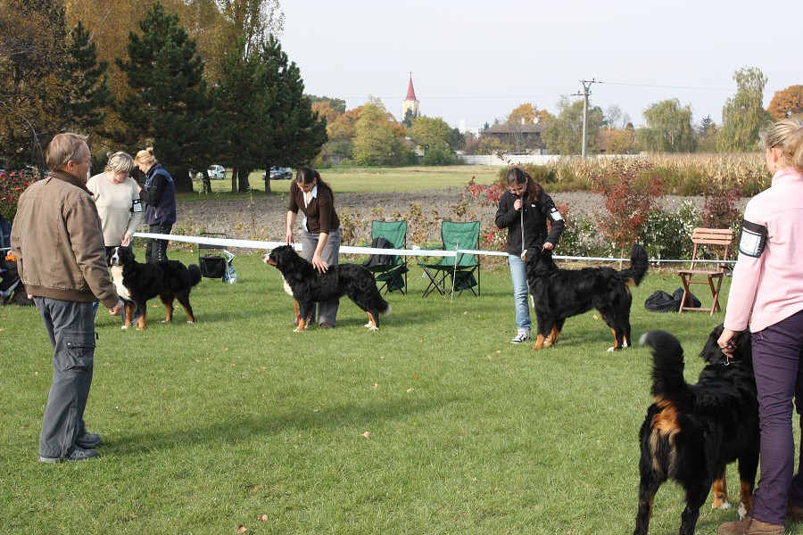 Slovenská klubová výstava 23.10.2010