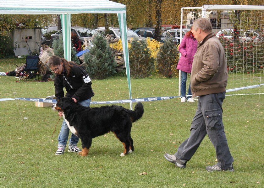 Slovenská klubová výstava 23.10.2010