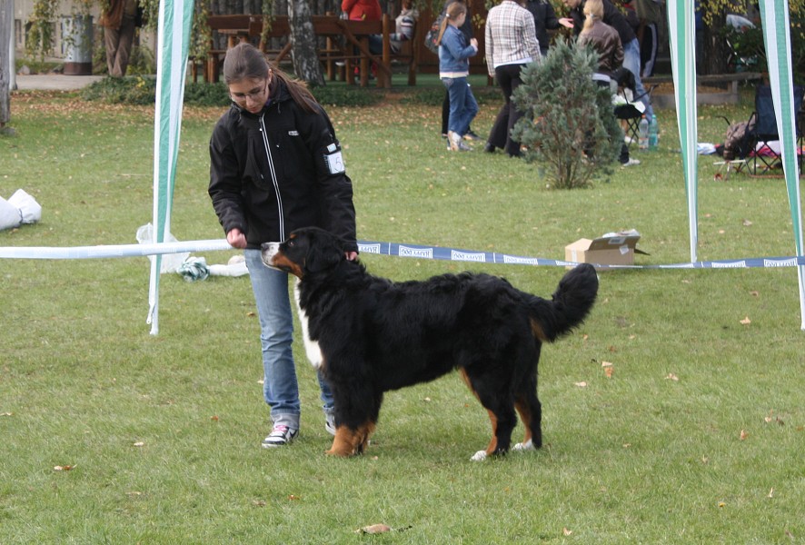 Slovenská klubová výstava 23.10.2010