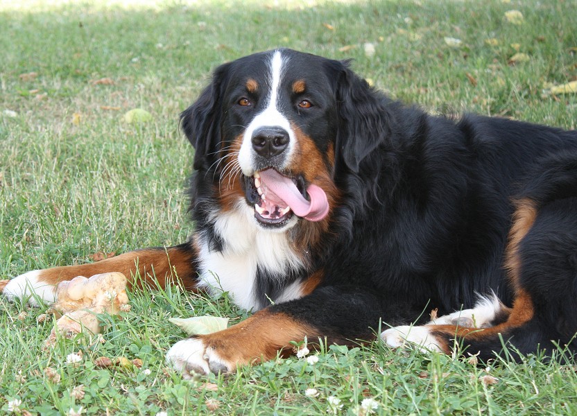 Klara Violette Queen Elsa - 2 roky