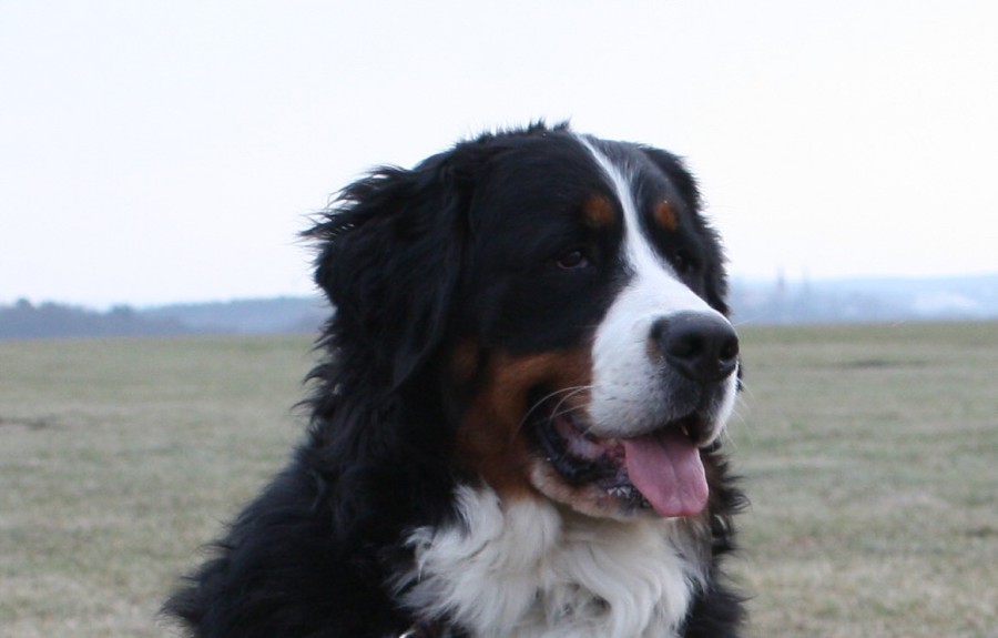 Mártyho 2. narozeniny