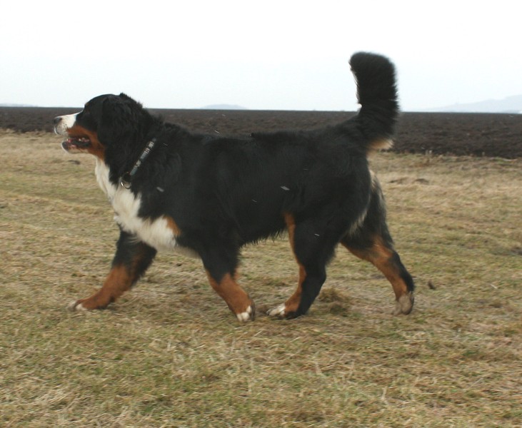 Mártyho 2. narozeniny