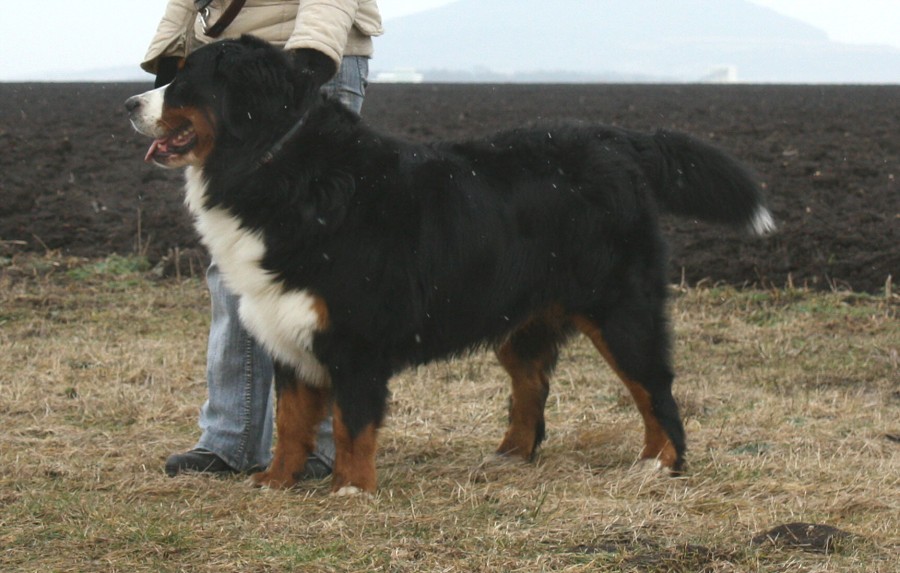 Mártyho 2. narozeniny