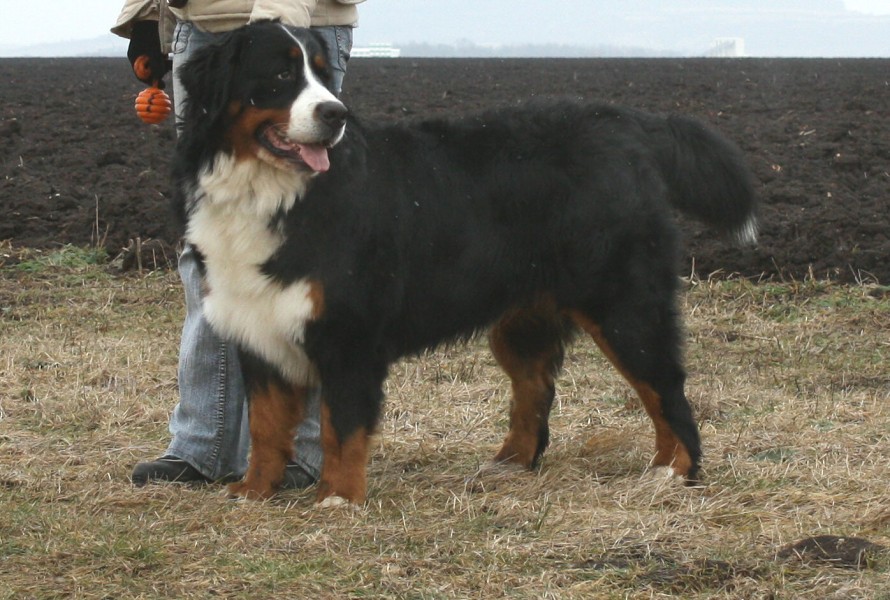 Mártyho 2. narozeniny