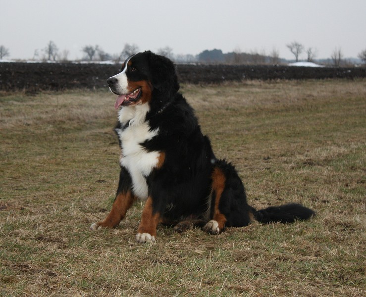 Mártyho 2. narozeniny