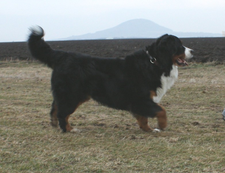 Mártyho 2. narozeniny