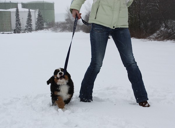 Marty -  z Austrálie až do Čech