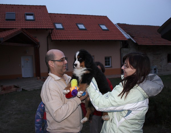 Marty -  z Austrálie až do Čech