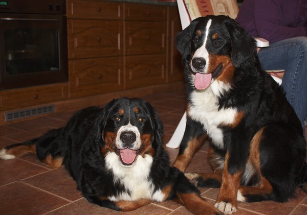 Marty -  z Austrálie až do Čech