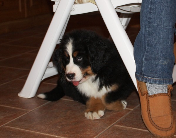 Marty -  z Austrálie až do Čech