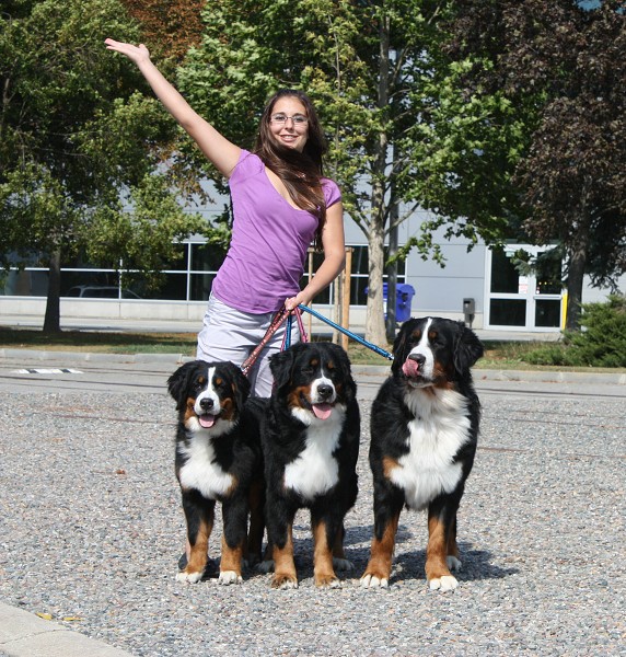 CHS Ladyca Bern - MVP Brno 18.9.2011 