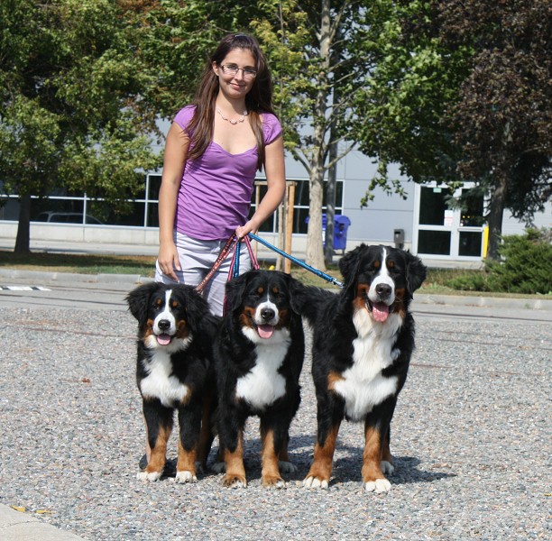 CHS Ladyca Bern - MVP Brno 18.9.2011 