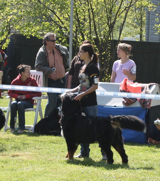 Klubová výstava Rožnov - Výborný - 07.05.2011