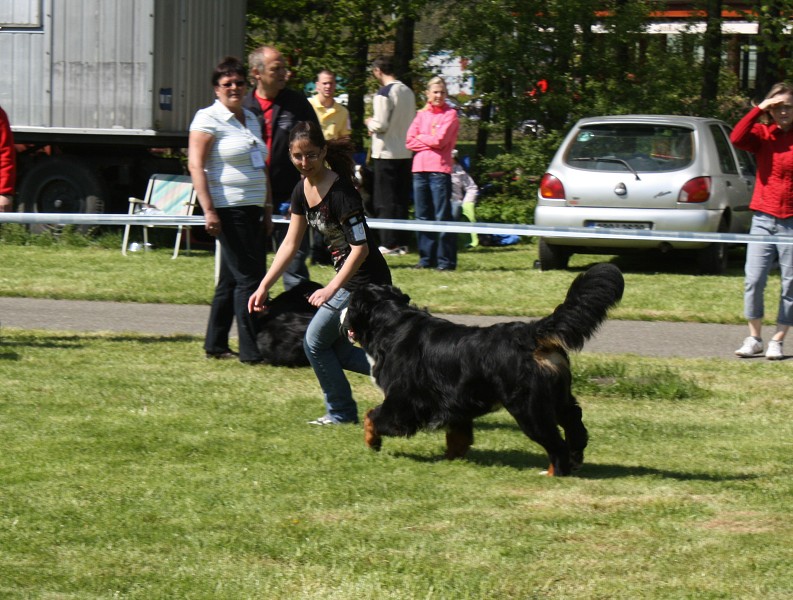 Klubová výstava Rožnov - Výborný - 07.05.2011