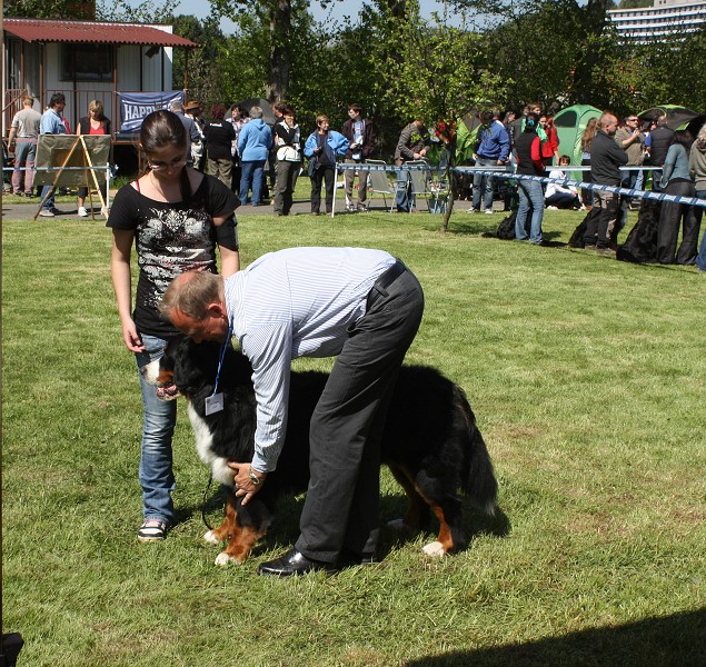 Klubová výstava Rožnov - Výborný - 07.05.2011
