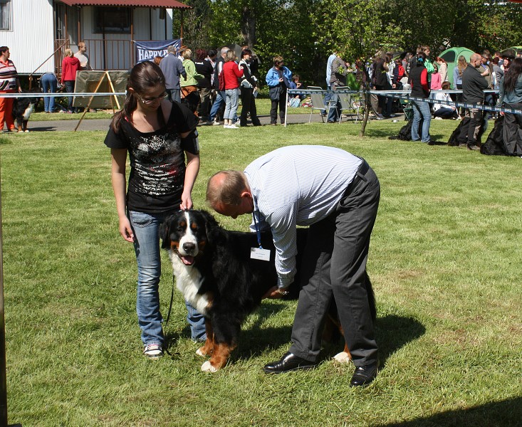 Klubová výstava Rožnov - Výborný - 07.05.2011