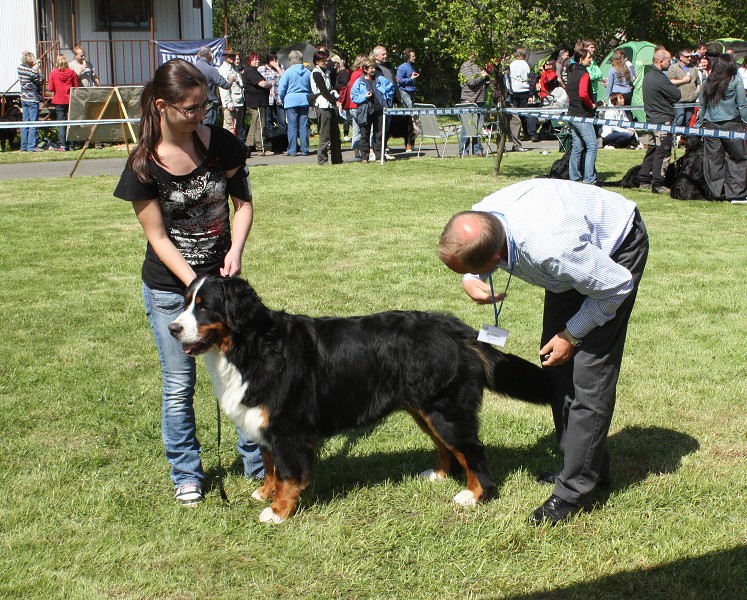 Klubová výstava Rožnov - Výborný - 07.05.2011