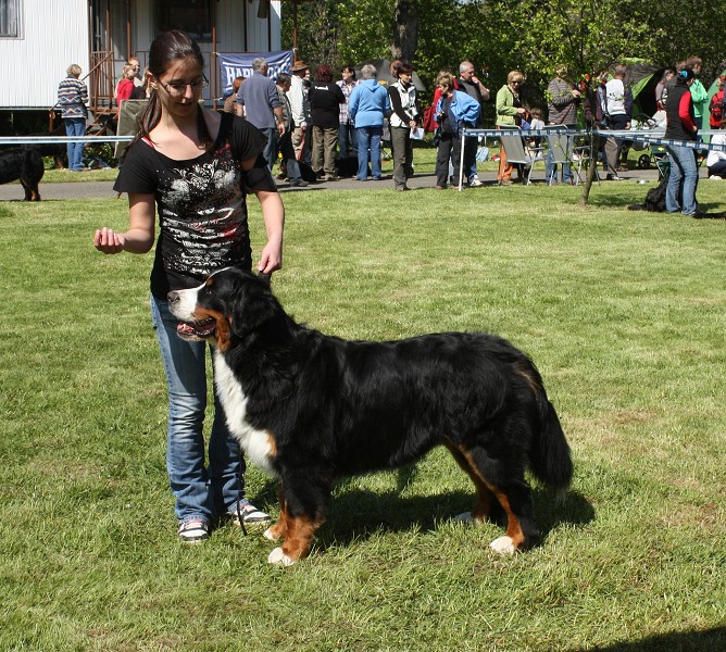 Klubová výstava Rožnov - Výborný - 07.05.2011