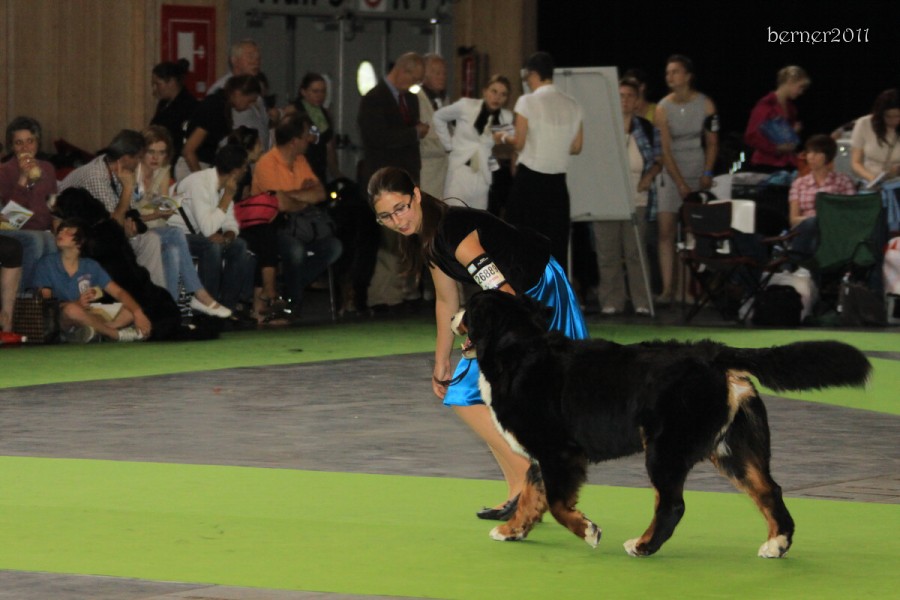 Paris - World Dog Show 7.-8.7.2011