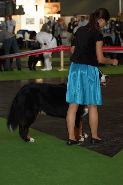 Paris - World Dog Show 7.-8.7.2011