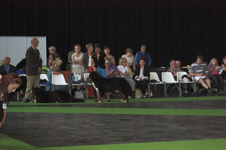 Paris - World Dog Show 7.-8.7.2011