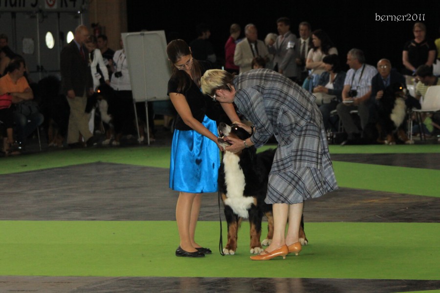 Paris - World Dog Show 7.-8.7.2011