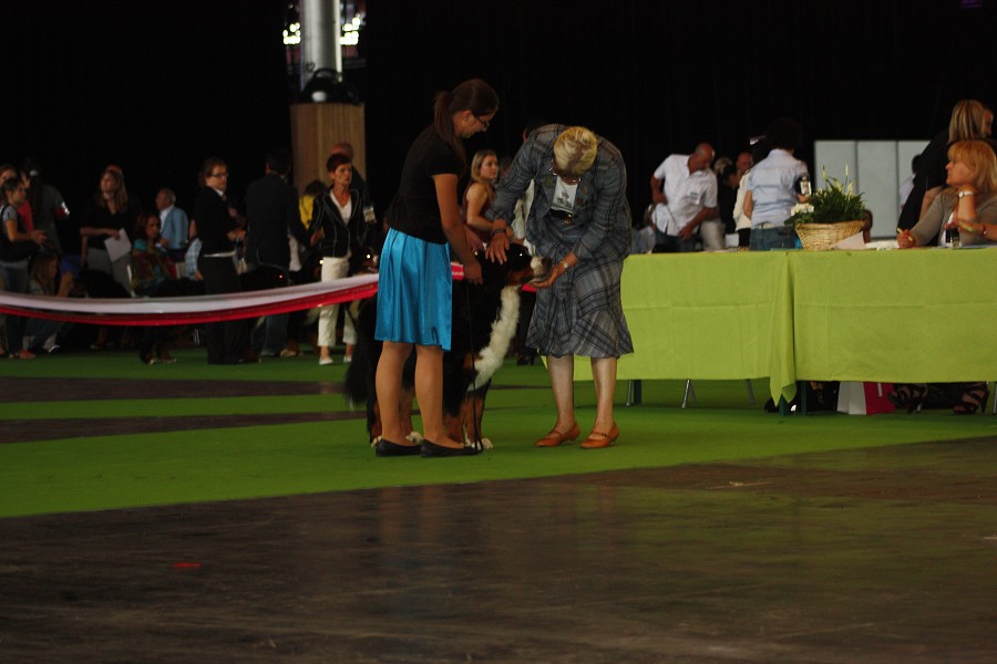 Paris - World Dog Show 7.-8.7.2011