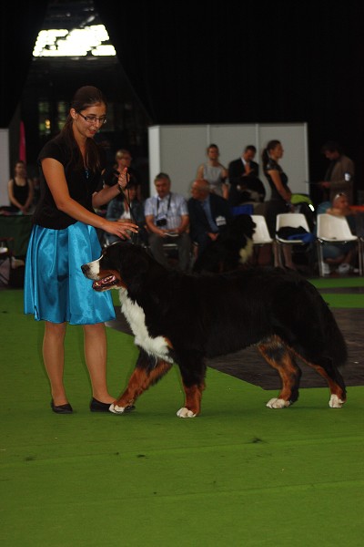 Paris - World Dog Show 7.-8.7.2011