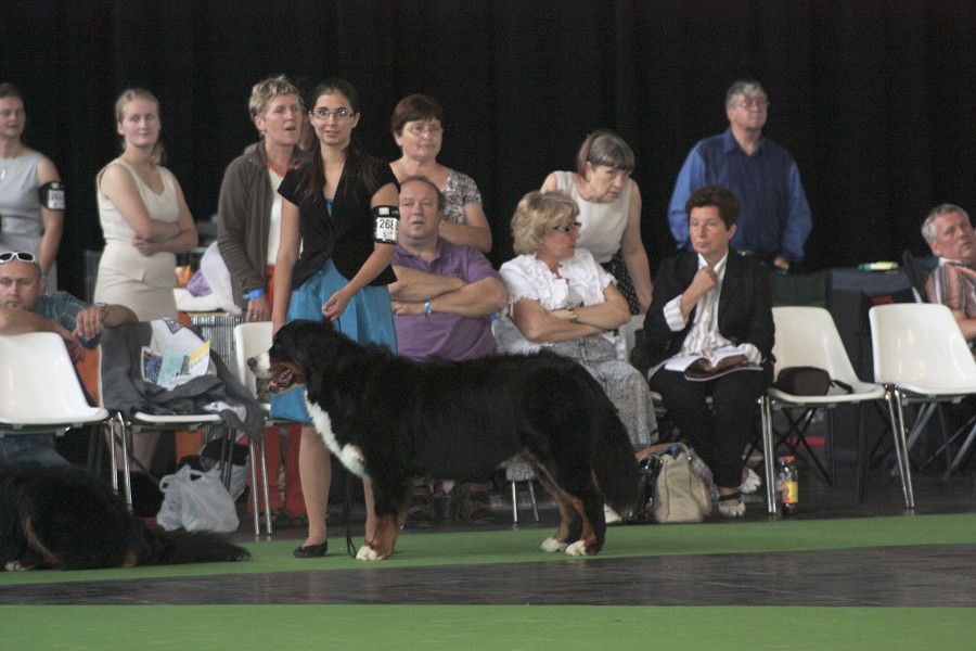 Paris - World Dog Show 7.-8.7.2011