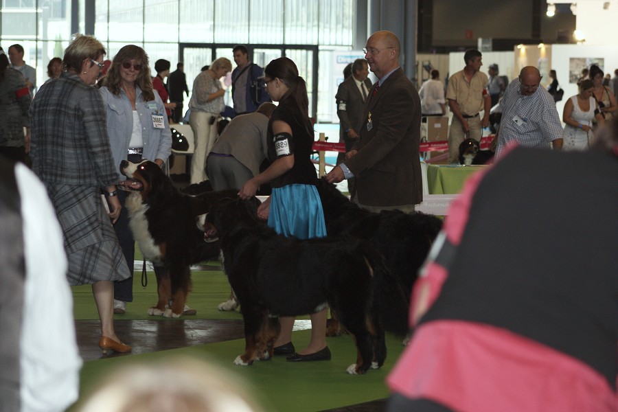 Paris - World Dog Show 7.-8.7.2011