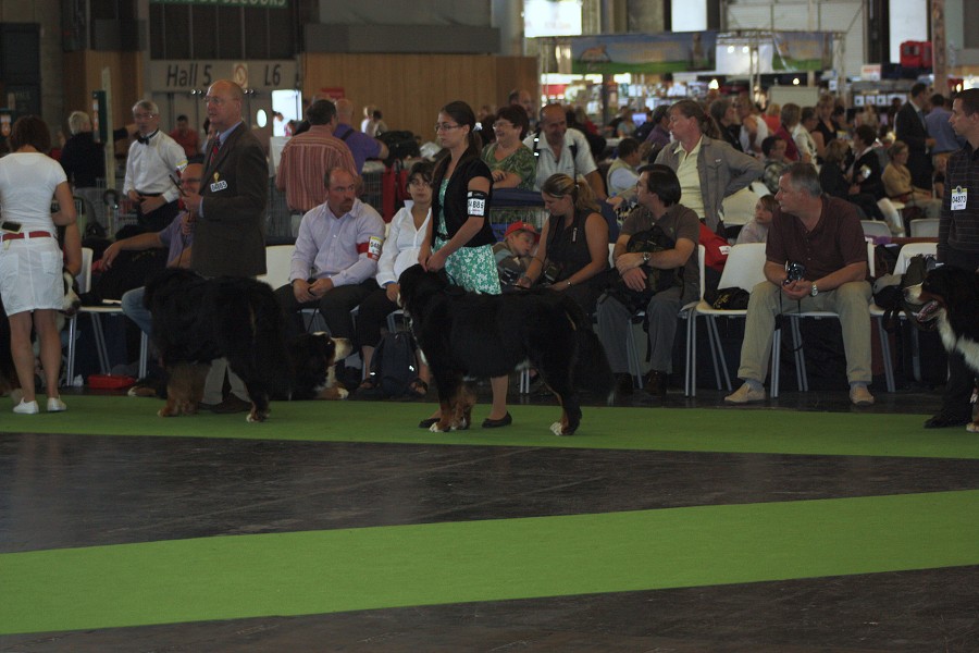 Paris - World Dog Show 7.-8.7.2011