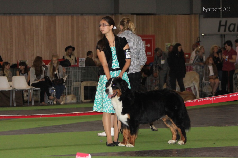 Paris - World Dog Show 7.-8.7.2011