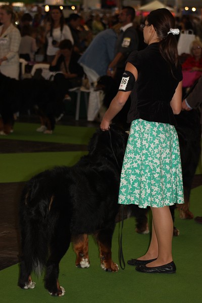 Paris - World Dog Show 7.-8.7.2011