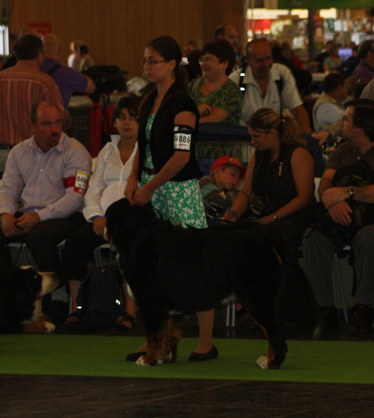 Paris - World Dog Show 7.-8.7.2011