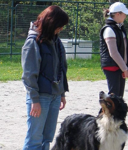 68 - fakt mě to baví 