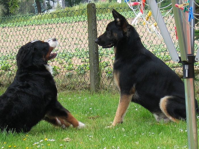 1 r s Beníkem_tak si to vyříkáme 