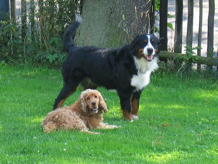 1 r. s kamarádek Čendou 