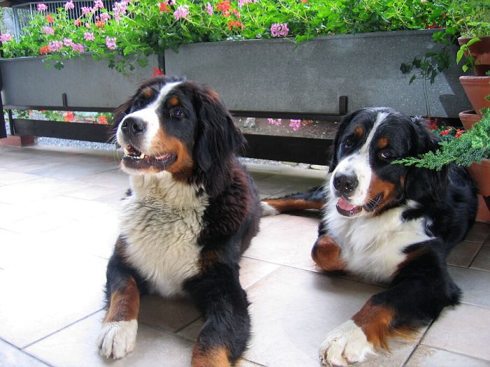 1,5 r s kamarádkou Corie 