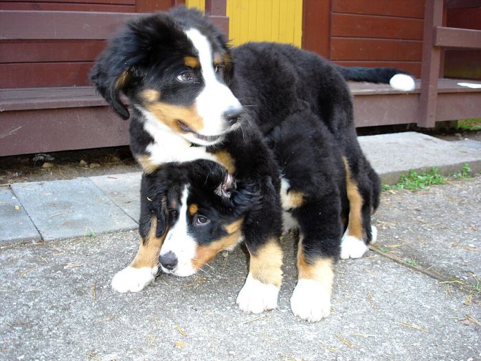 3 měsíce s Corinkou 