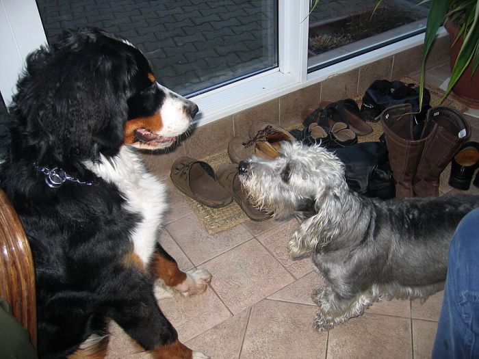 7 měsíců s Punťou 