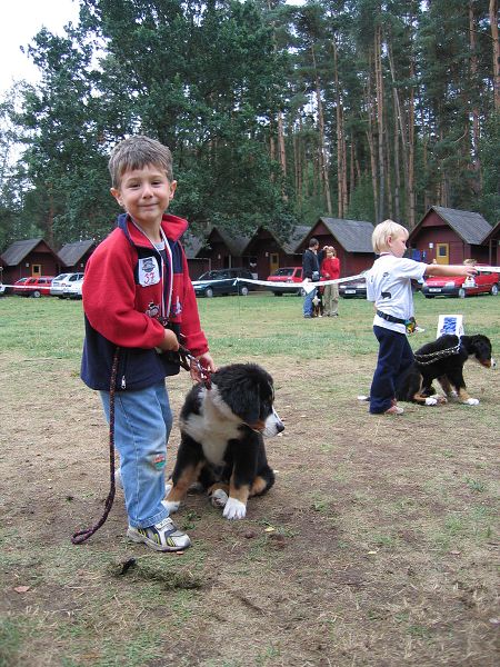 už se mi nikam nechce 
