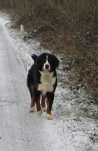 měs. 9. - na cestě.jpg 