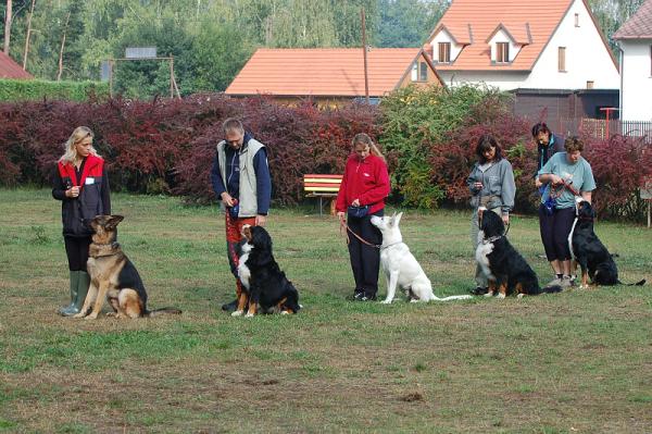 cvičíme 2.jpg 