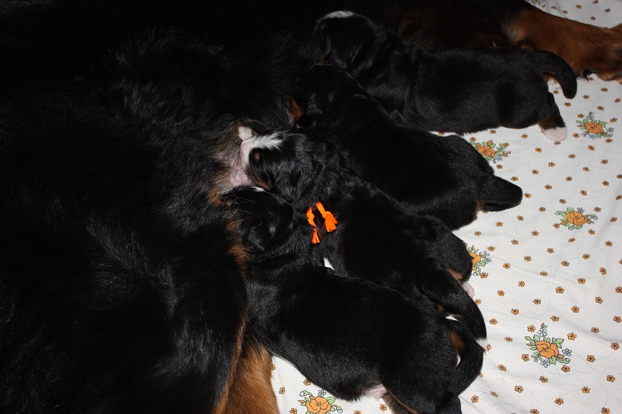 Momentky z 1. týdne