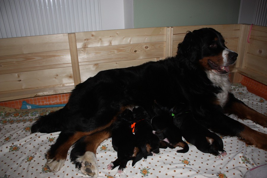 Momentky z 1. týdne