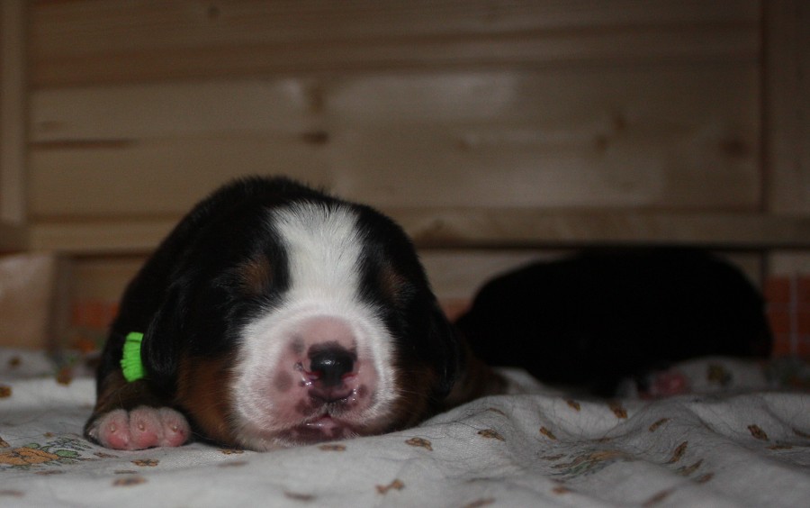 Momentky z 1. týdne